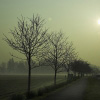 Nature Photo