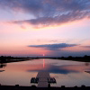 Nature Photo